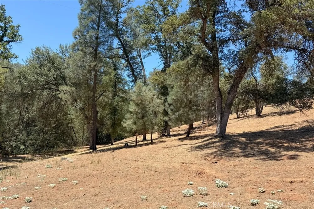 4121 Old Hwy Mariposa, CA 95338