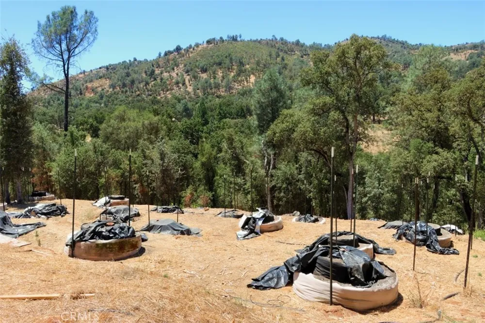 4121 Old Hwy Mariposa, CA 95338