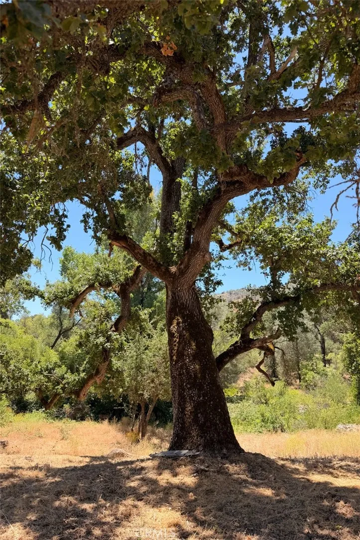 4121 Old Hwy Mariposa, CA 95338