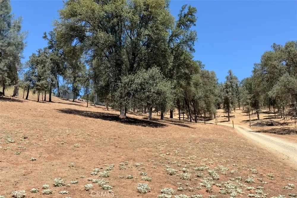 4121 Old Hwy Mariposa, CA 95338
