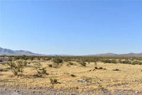 Yucca Trail