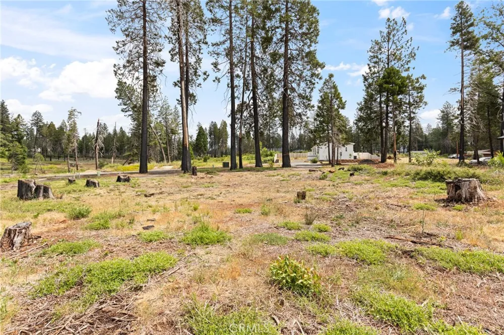 13765 Finch Ct Magalia, CA 95954