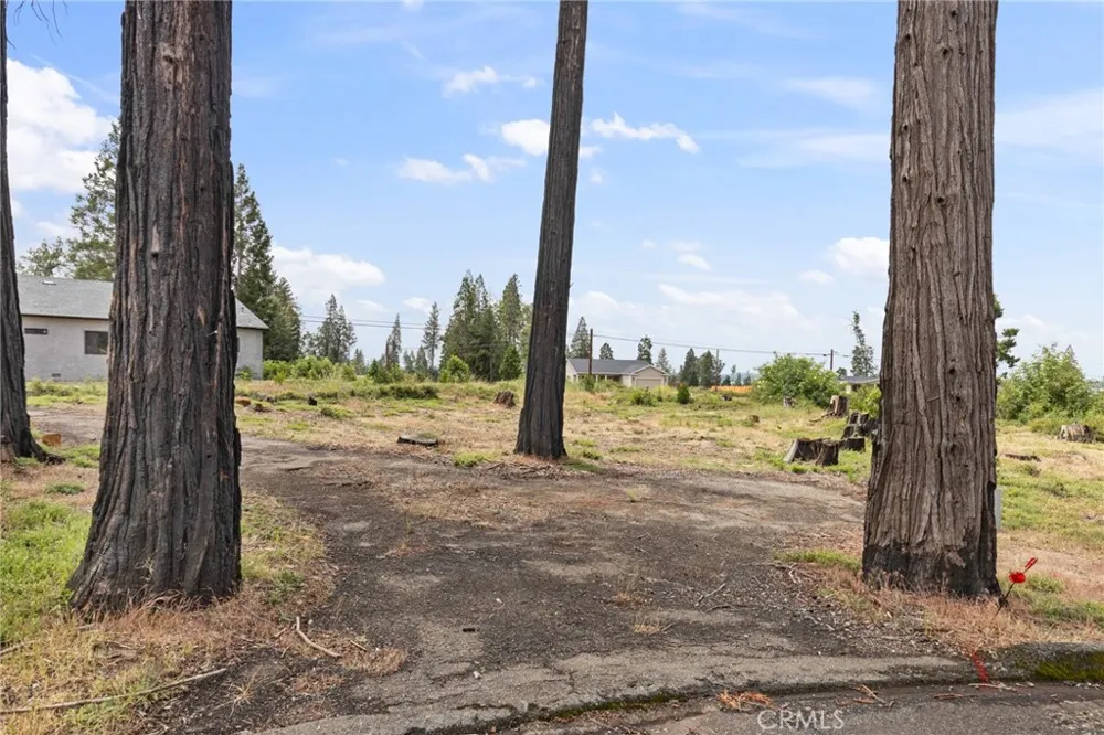 13765 Finch Ct Magalia, CA 95954