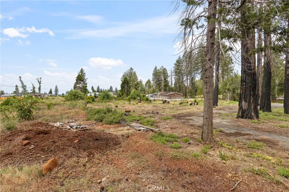 13765 Finch Ct Magalia, CA 95954