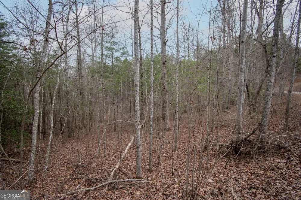 LOT 38 Posey PL Murphy, NC 28906