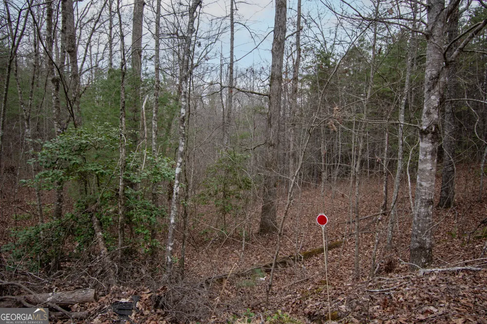 LOT 38 Posey PL Murphy, NC 28906