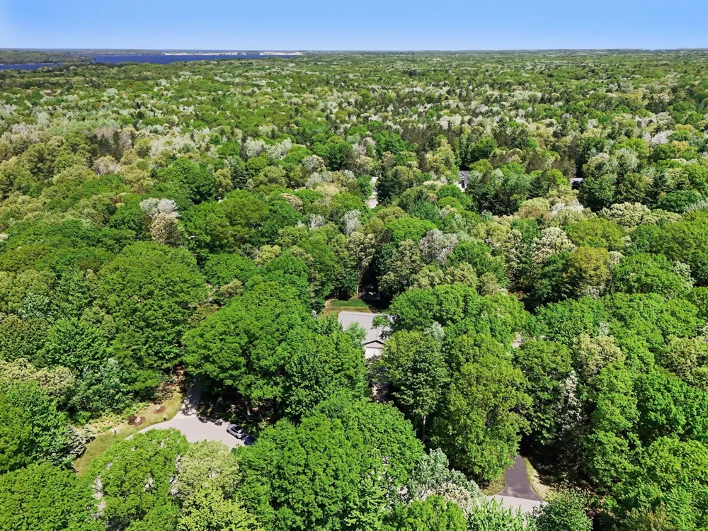 6544 W Forest Edge Drive Hamlin Township, MI 49431