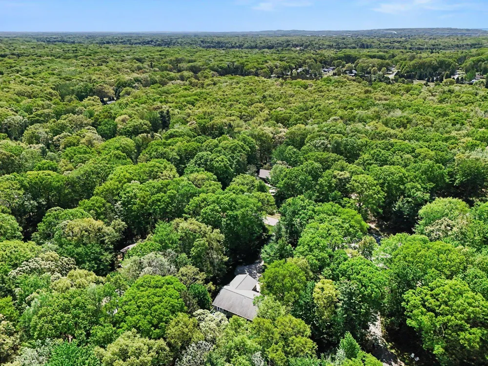 6544 W Forest Edge Drive Hamlin Township, MI 49431