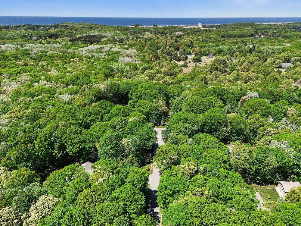 6544 W Forest Edge Drive Hamlin Township, MI 49431