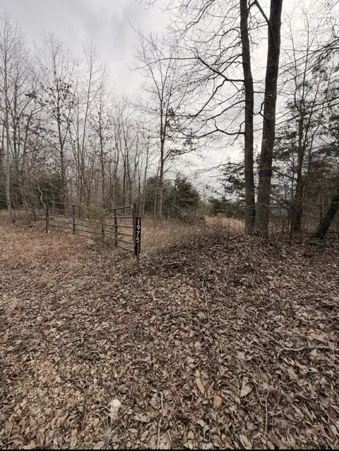 1975 Dogwood rd