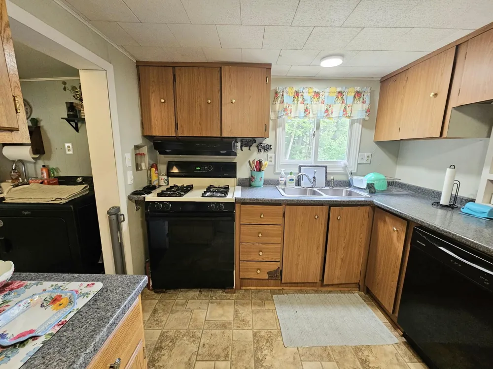 4774 S Lachance Road Lake Township, MI 49651