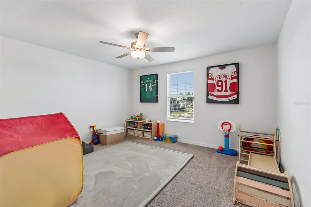 22203 CALISTO WAY Land O Lakes, FL 34637