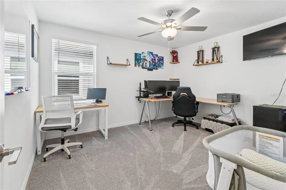 22203 CALISTO WAY Land O Lakes, FL 34637