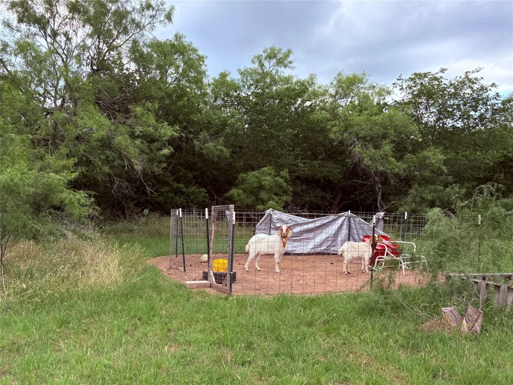 1117 Tiffin Road Ranger, TX 76470