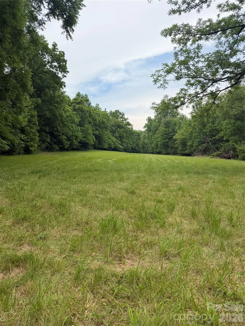 Lot 11 Parker Padgett Road Old Fort, NC 28762
