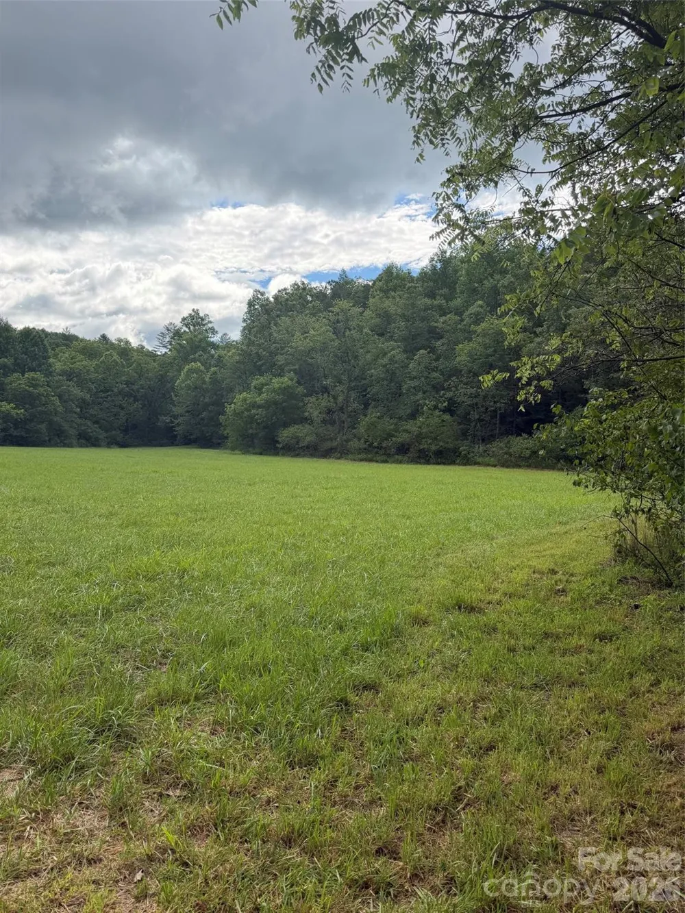 Lot 11 Parker Padgett Road Old Fort, NC 28762