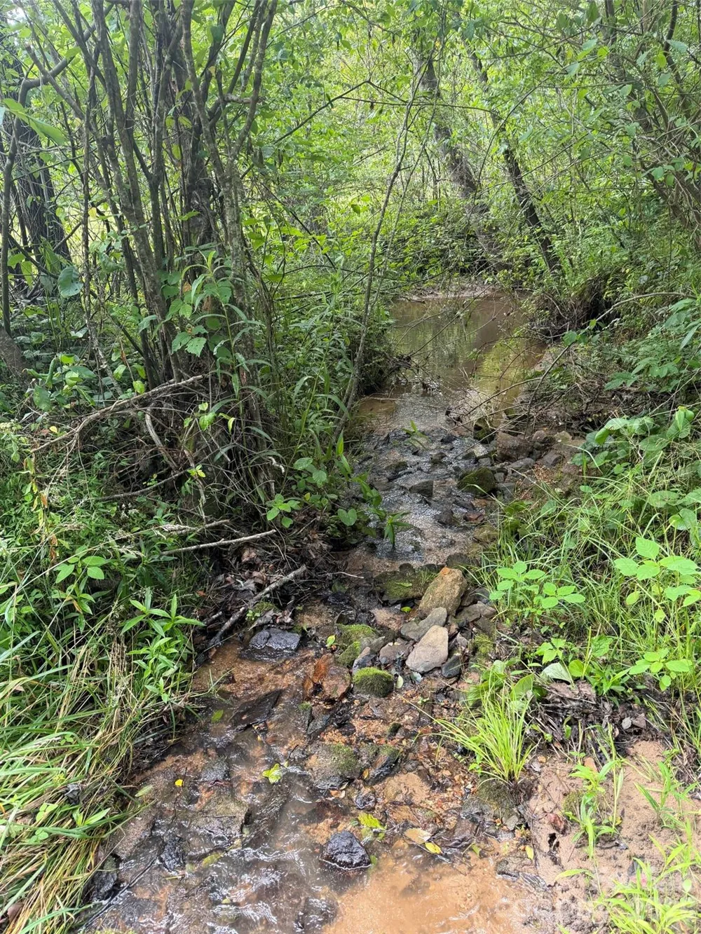 Lot 11 Parker Padgett Road Old Fort, NC 28762