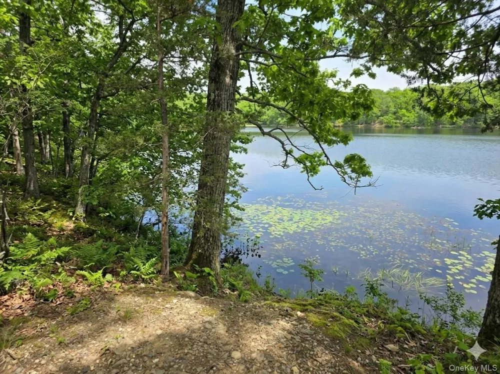 71 Lake Shore Road Pine Plains, NY 12567
