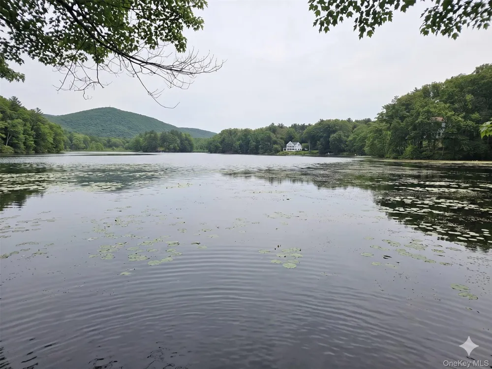 71 Lake Shore Road Pine Plains, NY 12567