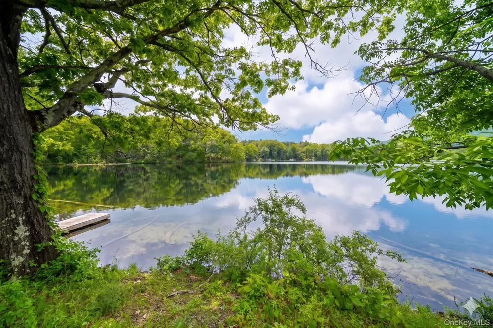 71 Lake Shore Road Pine Plains, NY 12567