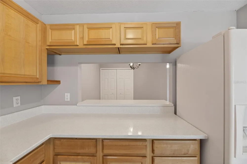2258 FLUORSHIRE DRIVE Brandon, FL 33511