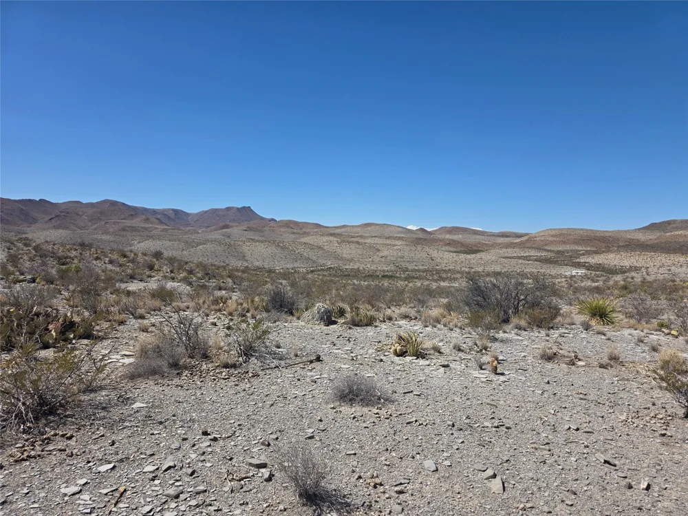 1 Bob Cat Study Butte-Terlingua, TX 78952