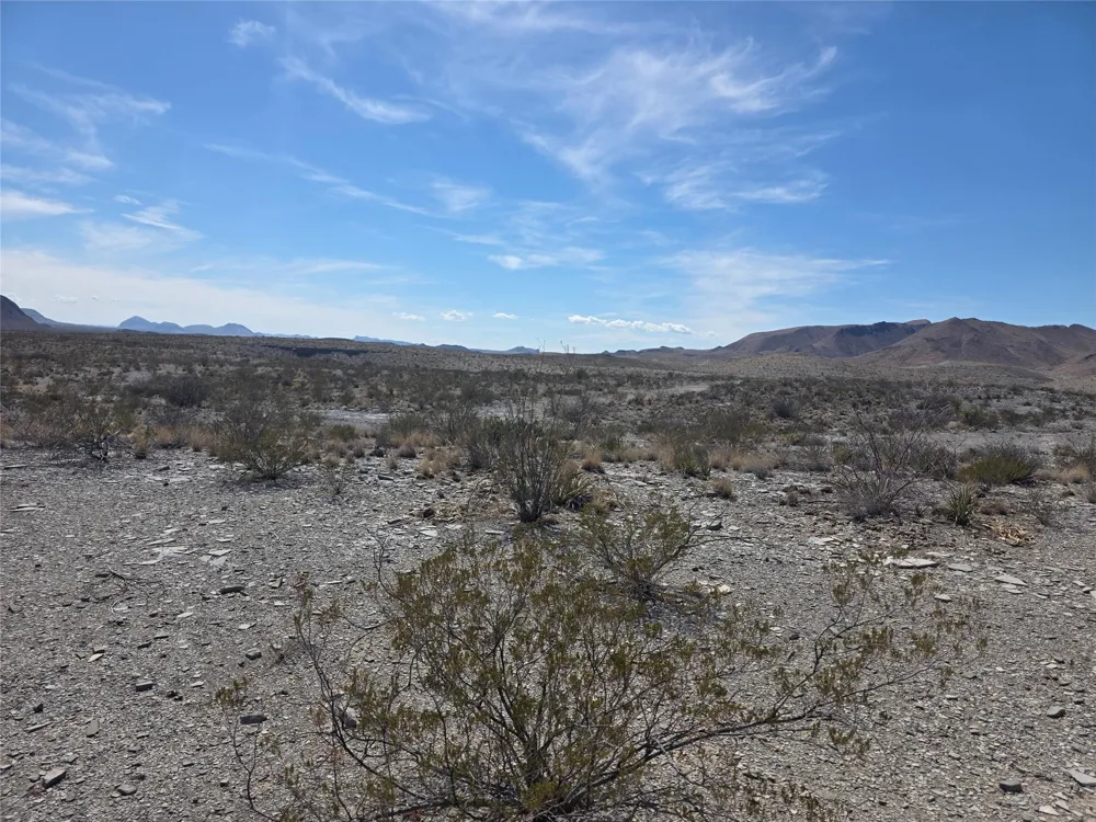 1 Bob Cat Study Butte-Terlingua, TX 78952