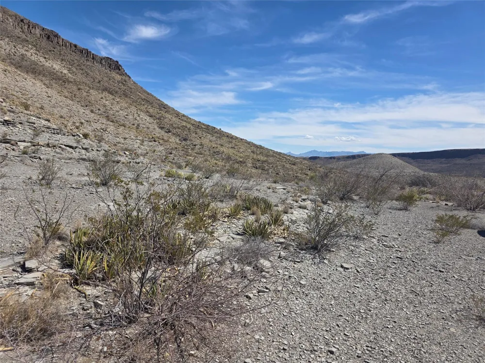 1 Bob Cat Study Butte-Terlingua, TX 78952