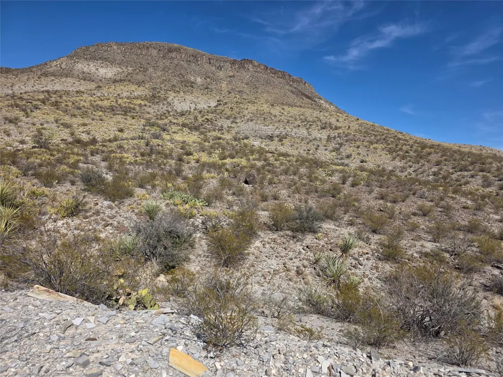 1 Bob Cat Study Butte-Terlingua, TX 78952