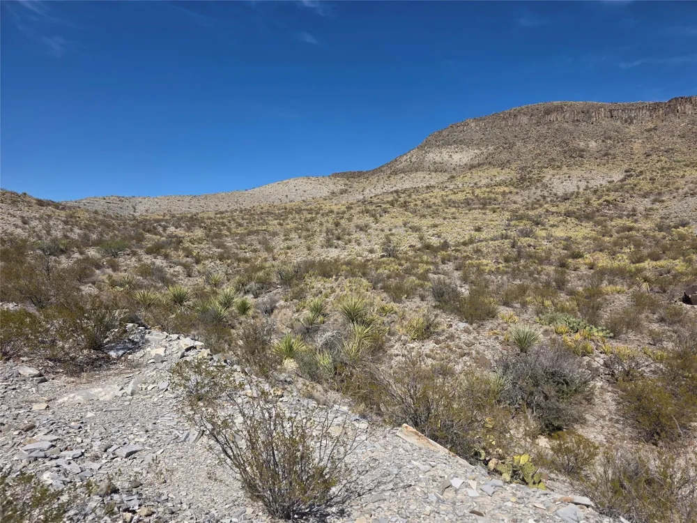 1 Bob Cat Study Butte-Terlingua, TX 78952