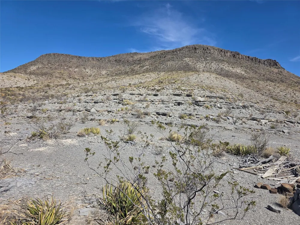 1 Bob Cat Study Butte-Terlingua, TX 78952