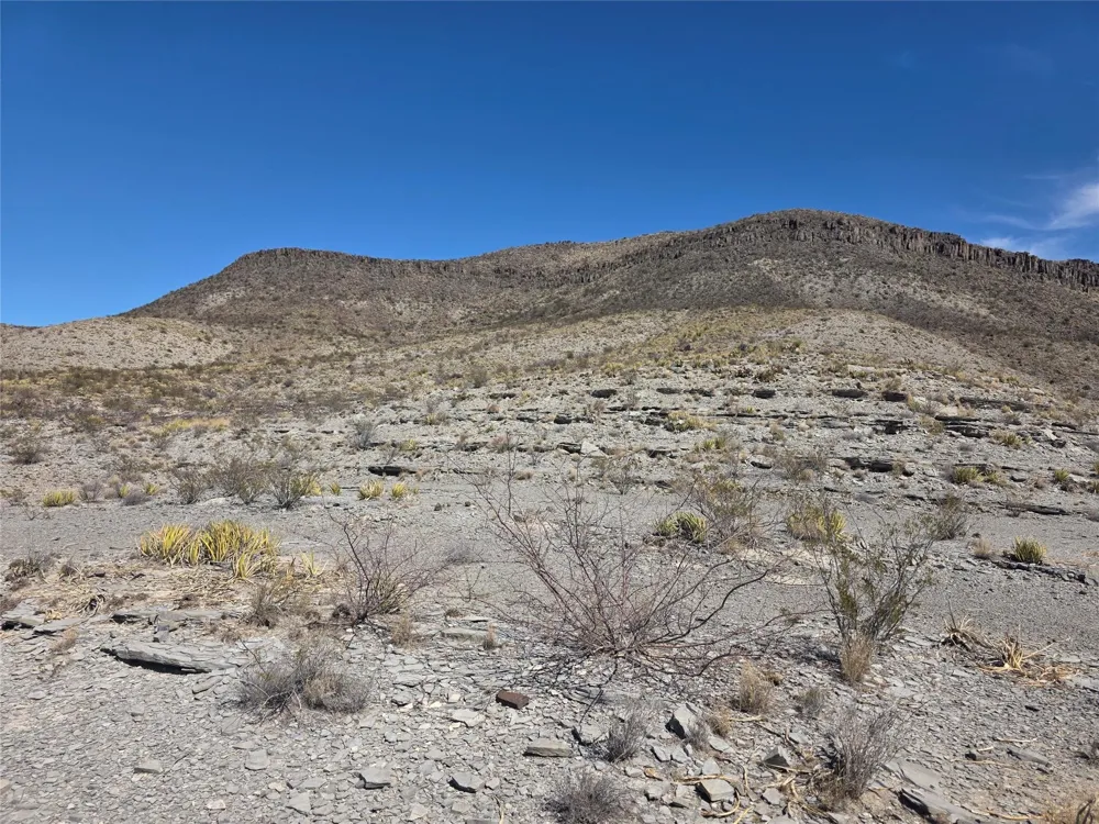 Bob Cat Study Butte-Terlingua, TX 78952