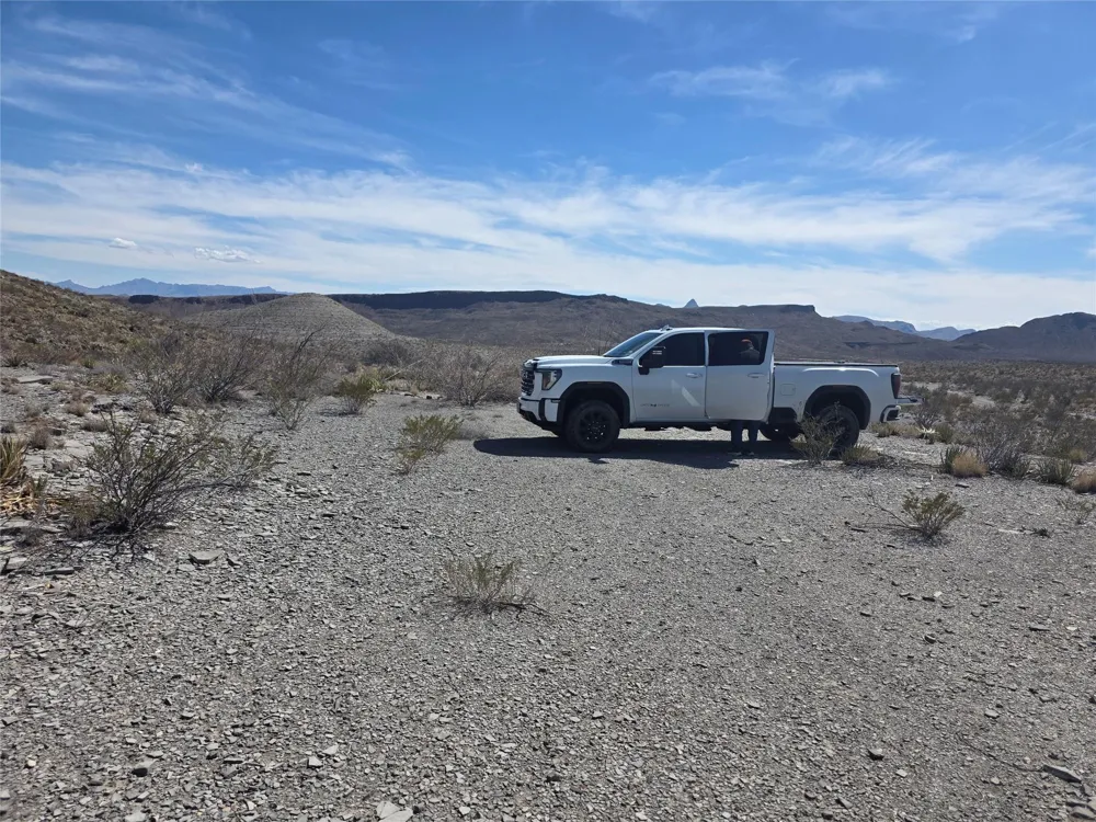 Bob Cat Study Butte-Terlingua, TX 78952