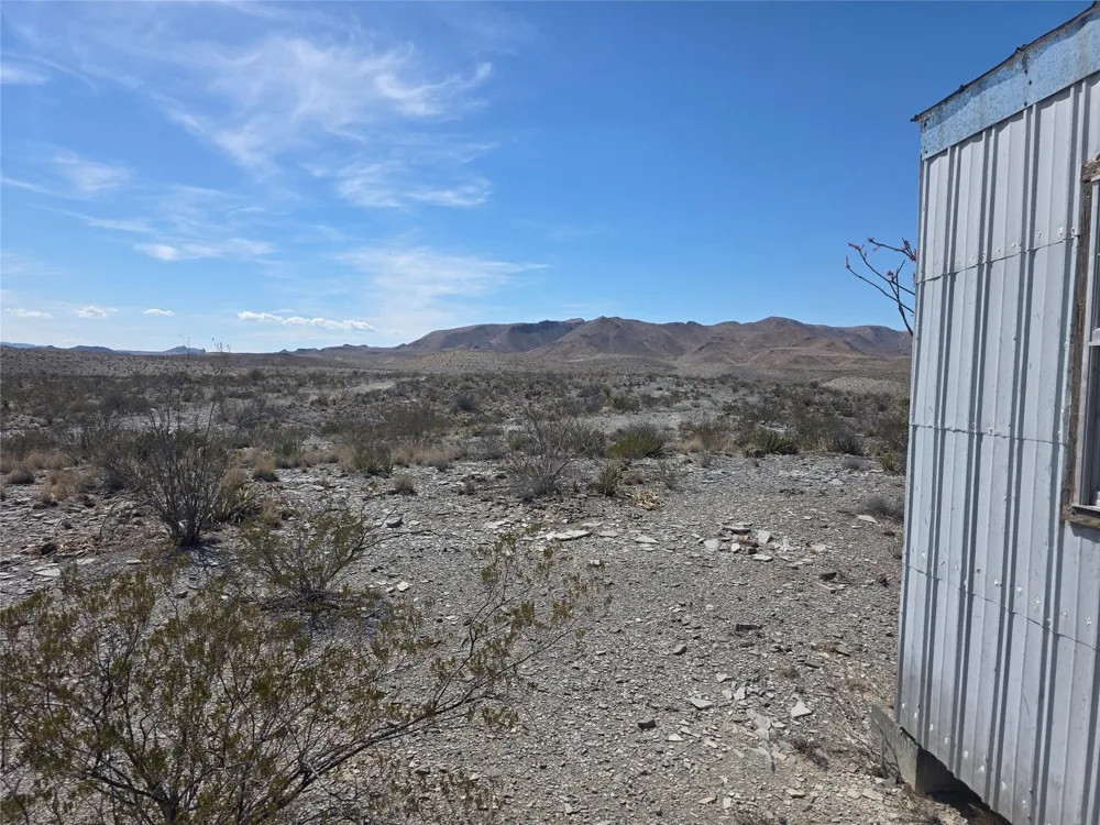 Bob Cat Study Butte-Terlingua, TX 78952
