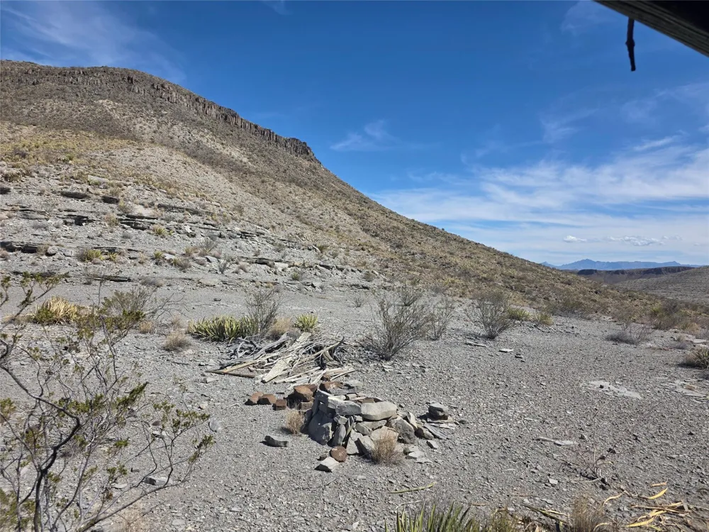 Bob Cat Study Butte-Terlingua, TX 78952