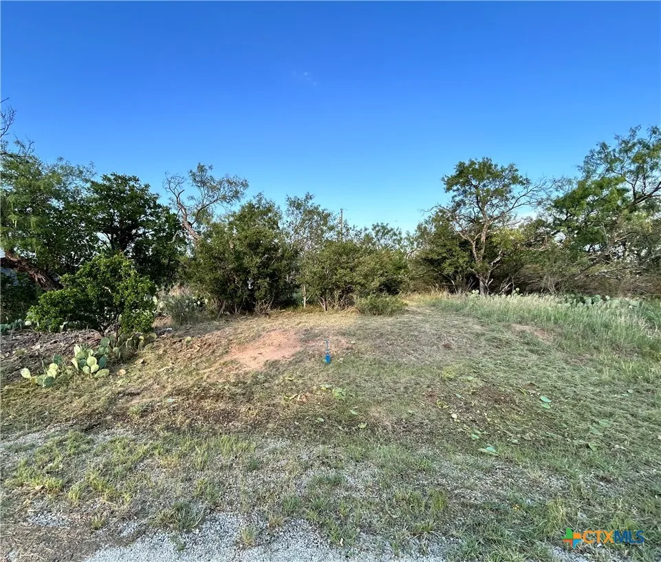 Cactus Trail Kingsland, TX 78639