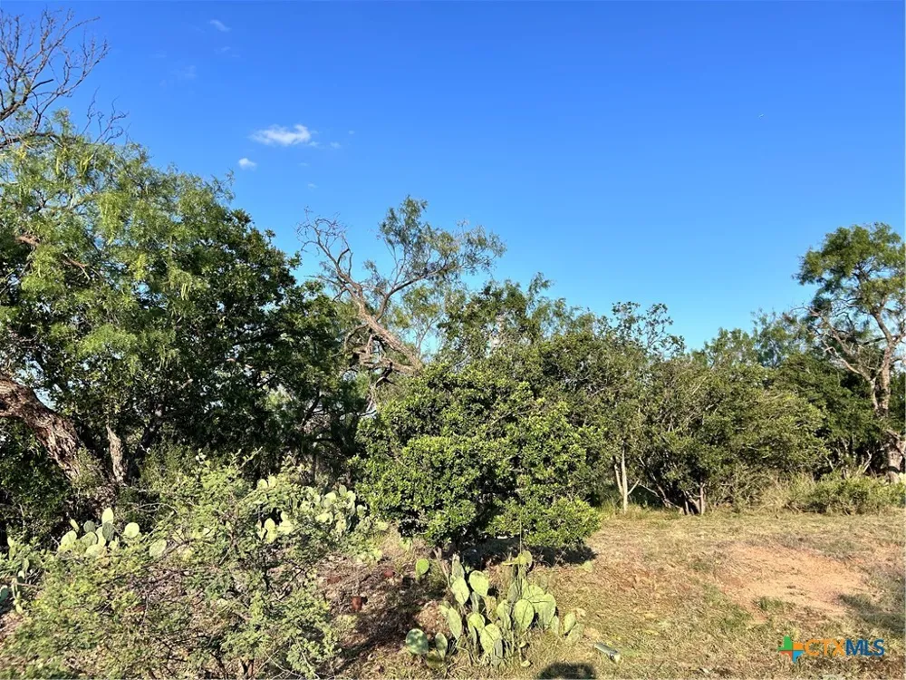 Cactus Trail Kingsland, TX 78639