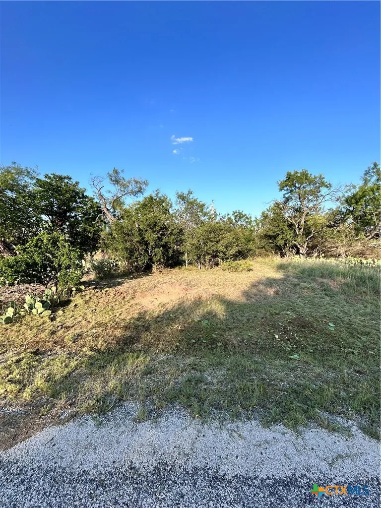 Cactus Trail Kingsland, TX 78639