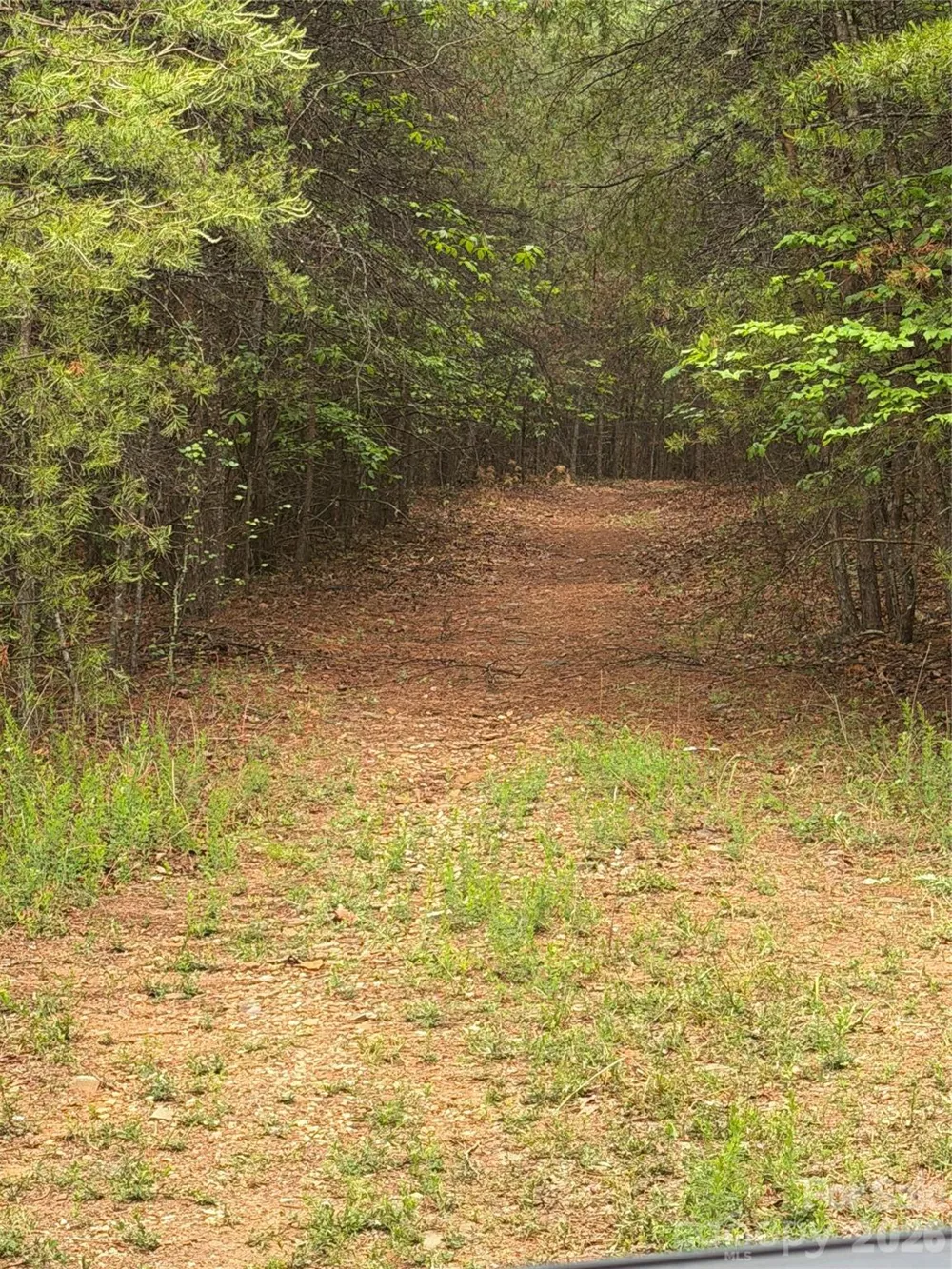 Tract 3 Hill Road Marion, NC 28752