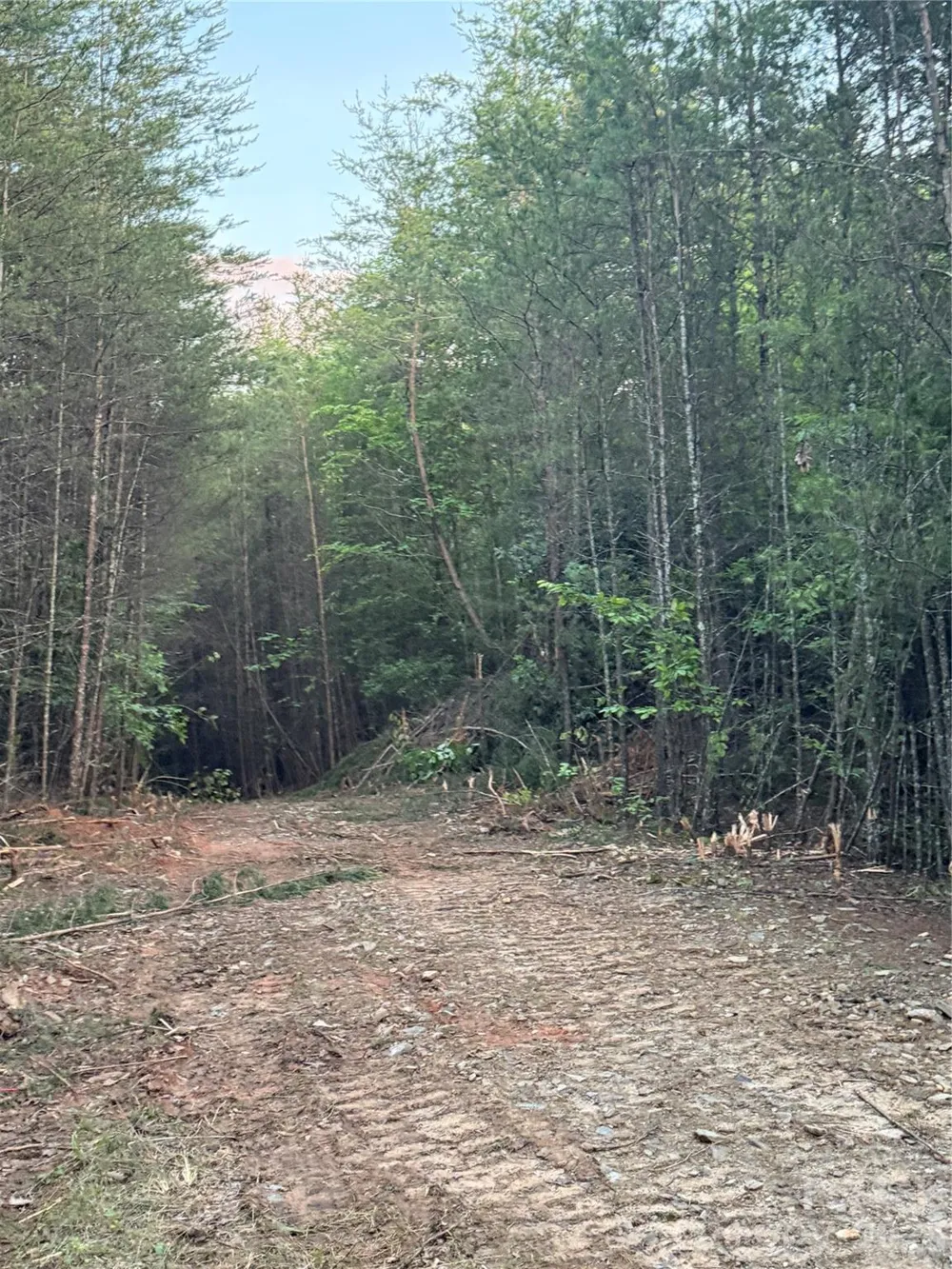 Tract 3 Hill Road Marion, NC 28752