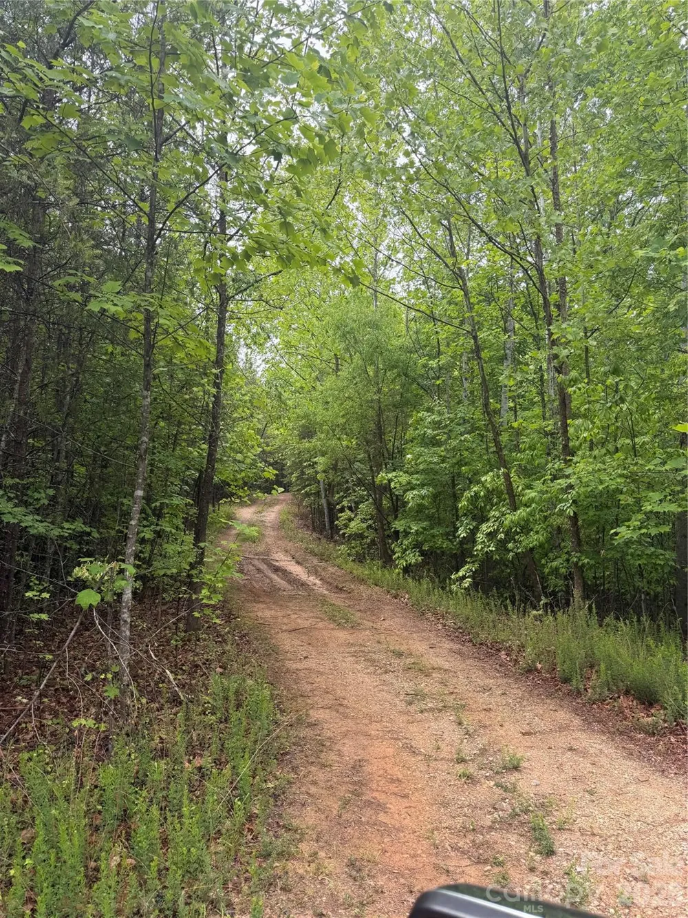 Tract 5 Hill Road Marion, NC 28752