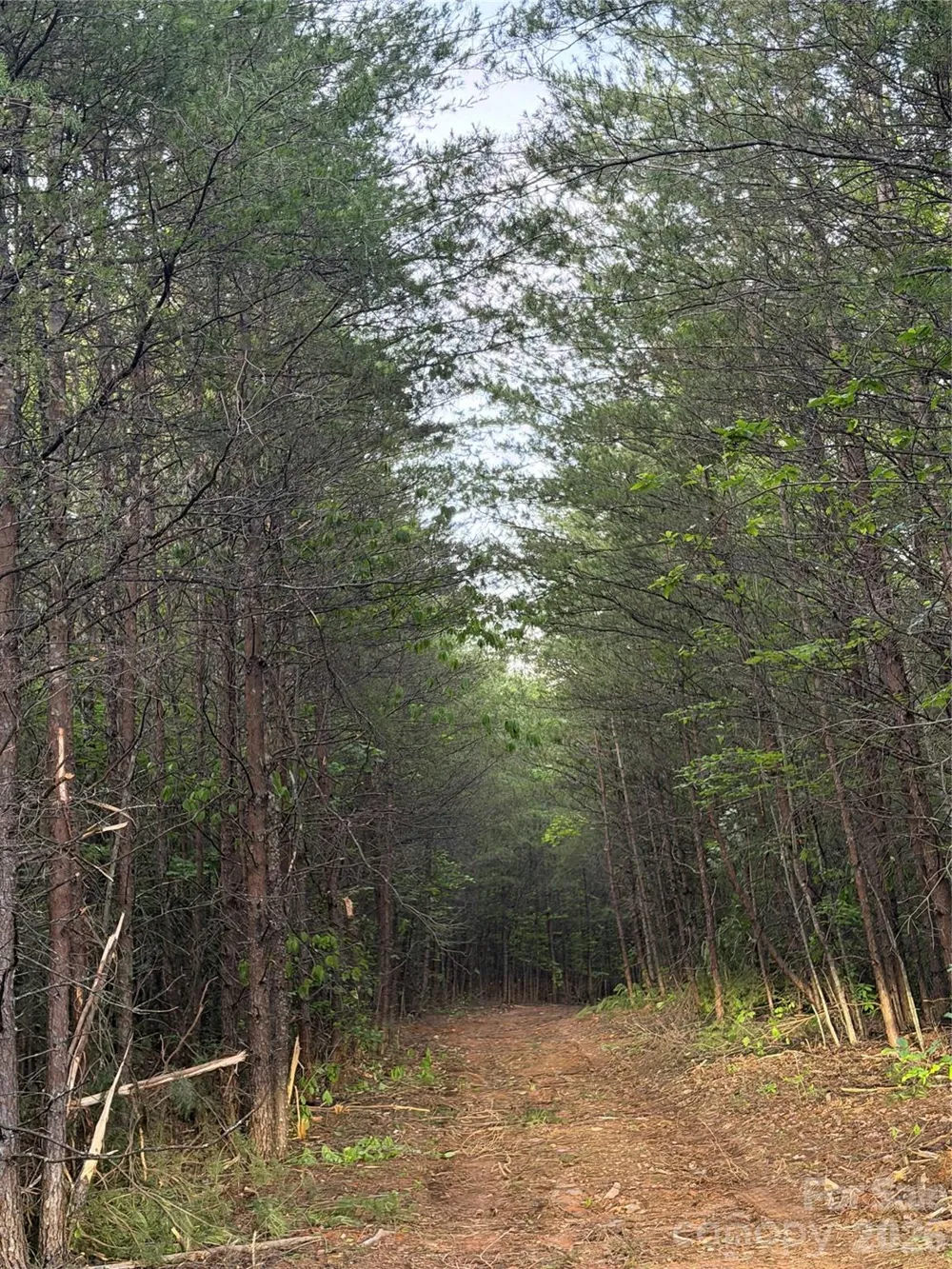 Tract 5 Hill Road Marion, NC 28752