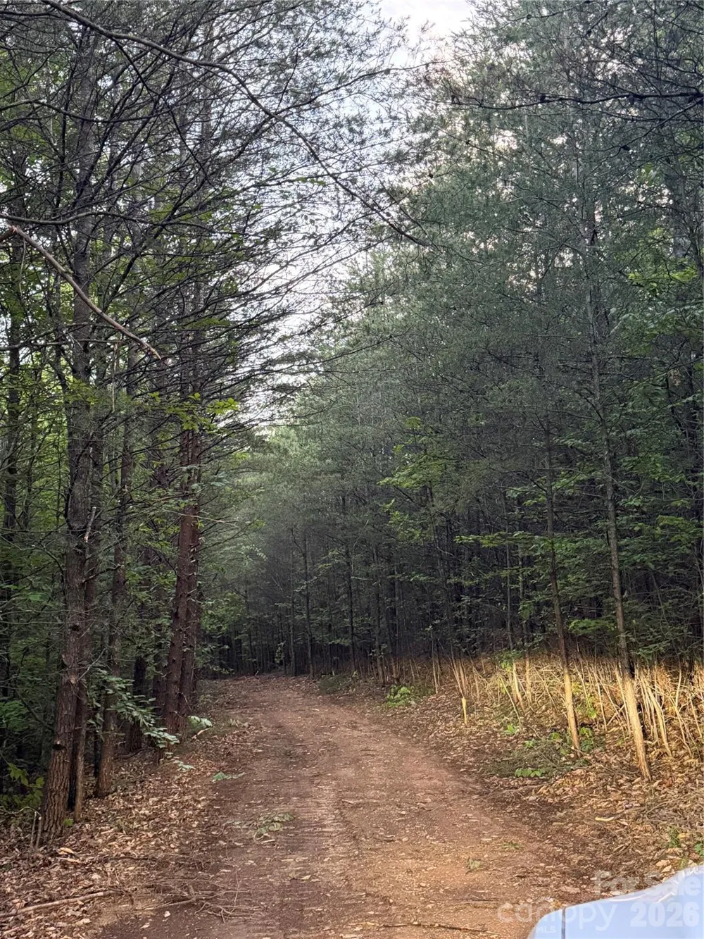 Tract 5 Hill Road Marion, NC 28752
