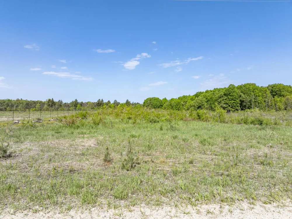 M-37 Springville Township, MI 49668