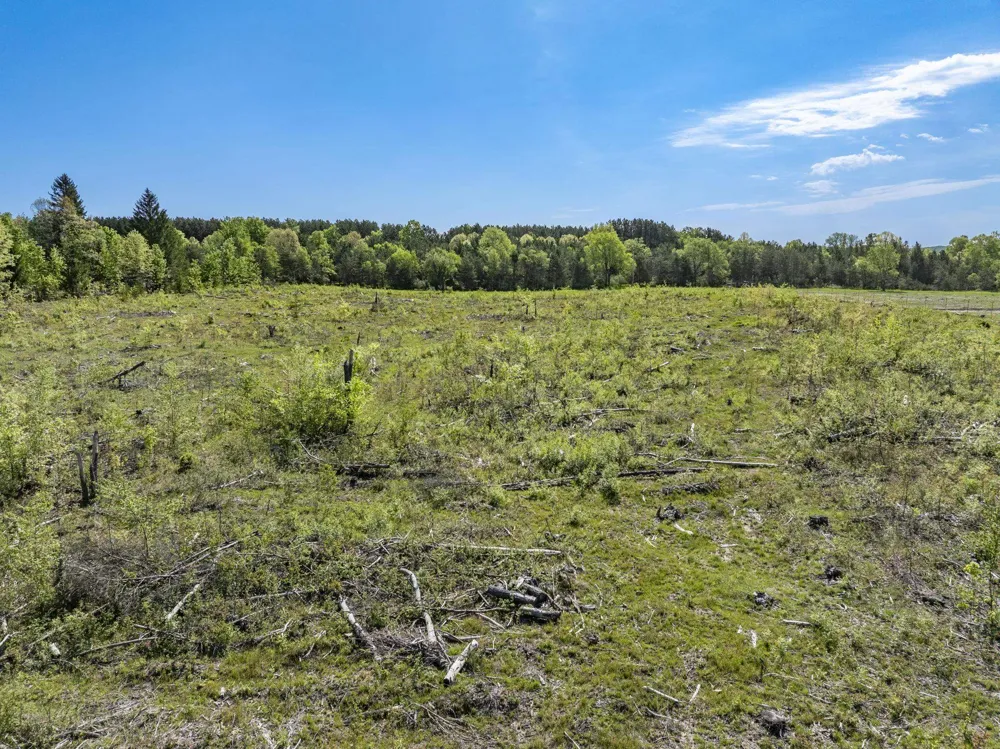 M-37 Springville Township, MI 49668