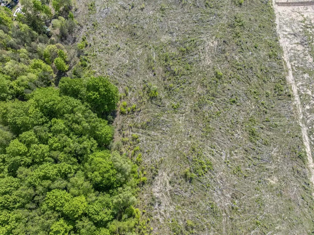 M-37 Springville Township, MI 49668
