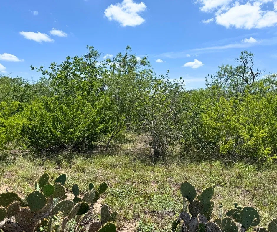 County Road 334 Beeville, TX 78102