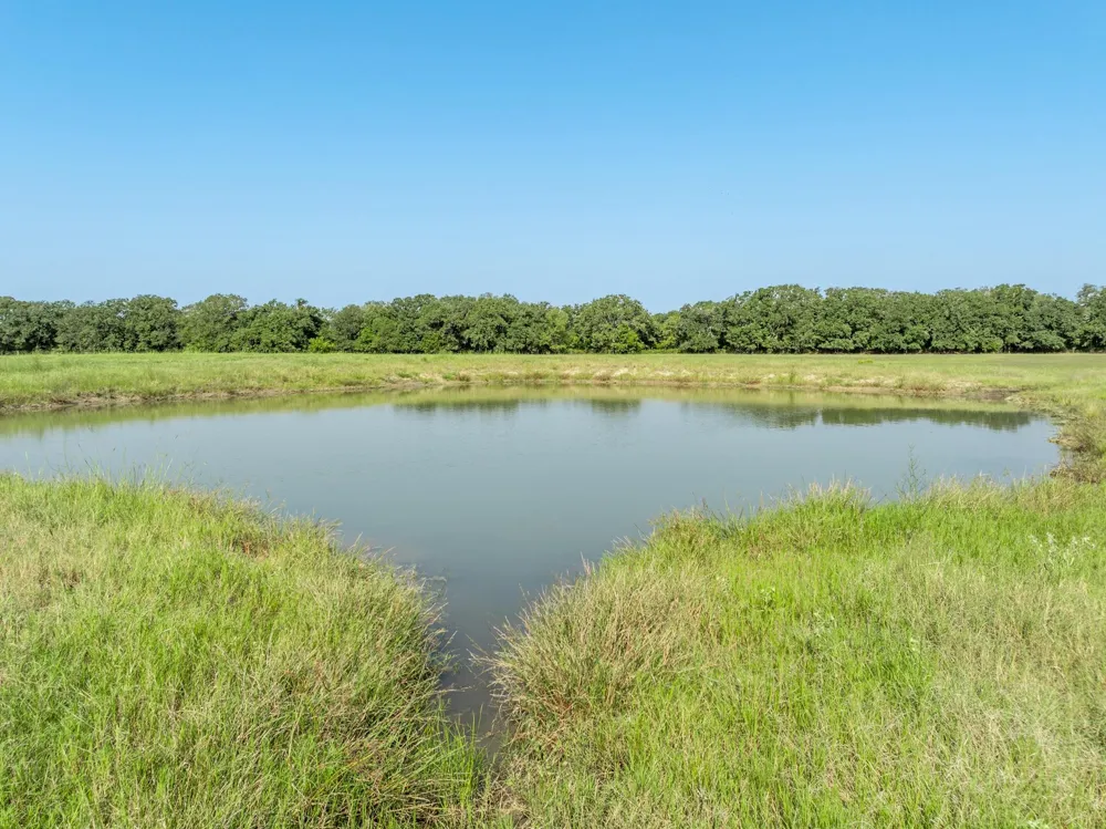 County Road 155 Marlin, TX 76661