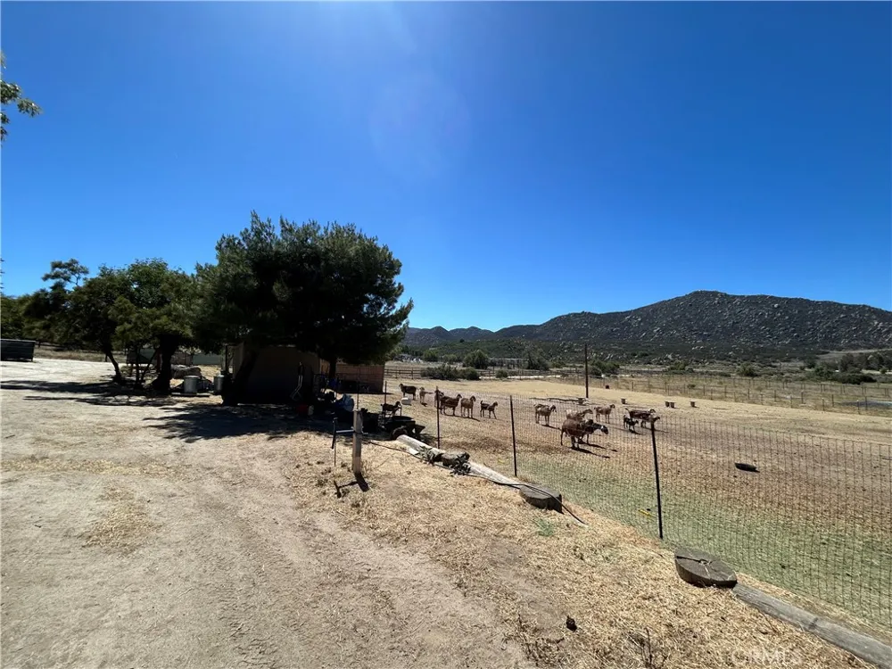 45015 Carrot Aguanga, CA 92536