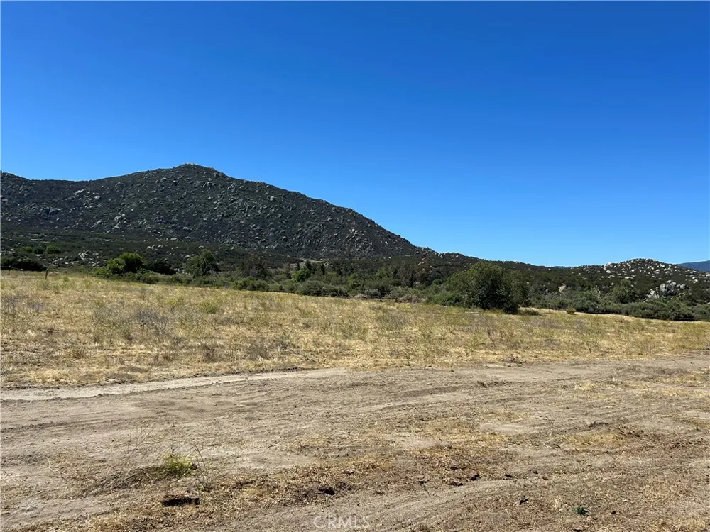 45015 Carrot Aguanga, CA 92536